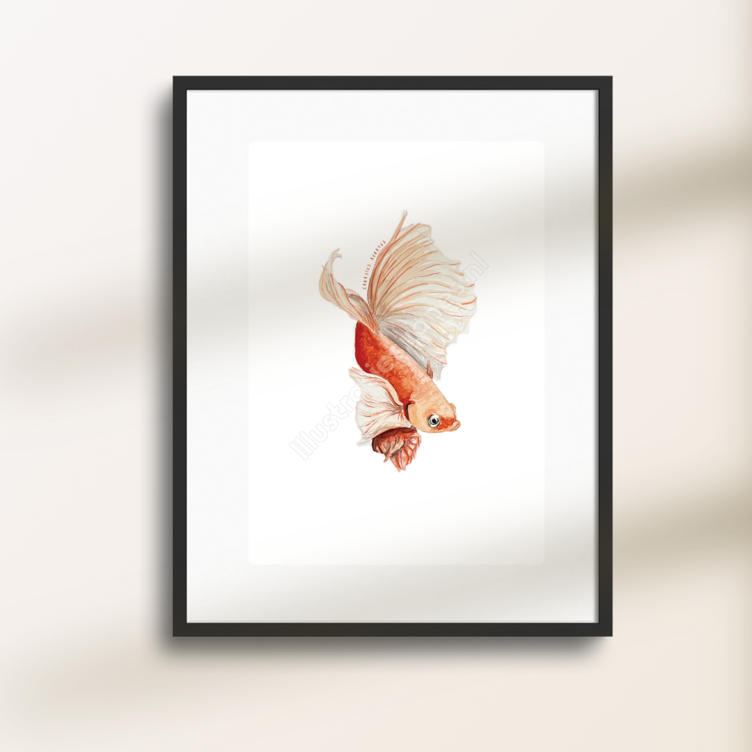 Goudvis Poster Zwart