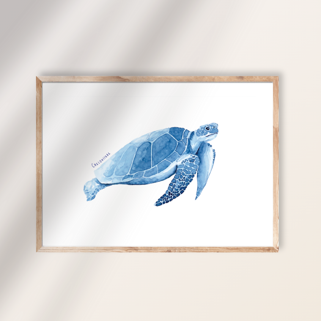 Zeeschildpad Wenskaart